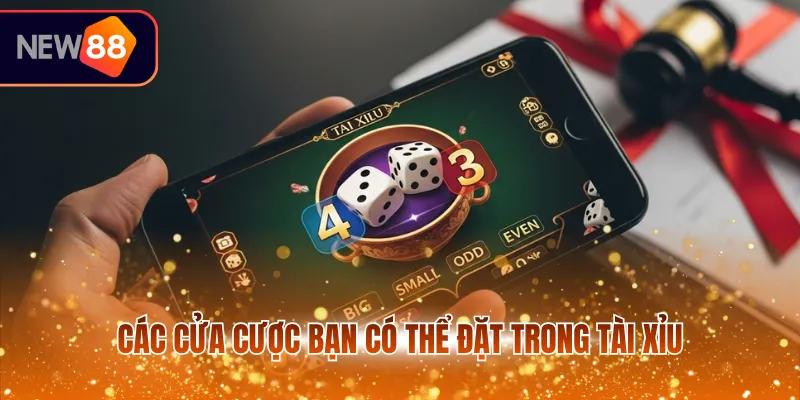 Các cửa cược bạn có thể đặt trong Tài Xỉu