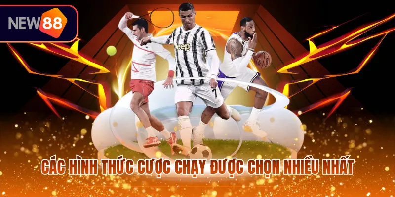 Các hình thức cược chạy được chọn nhiều nhất