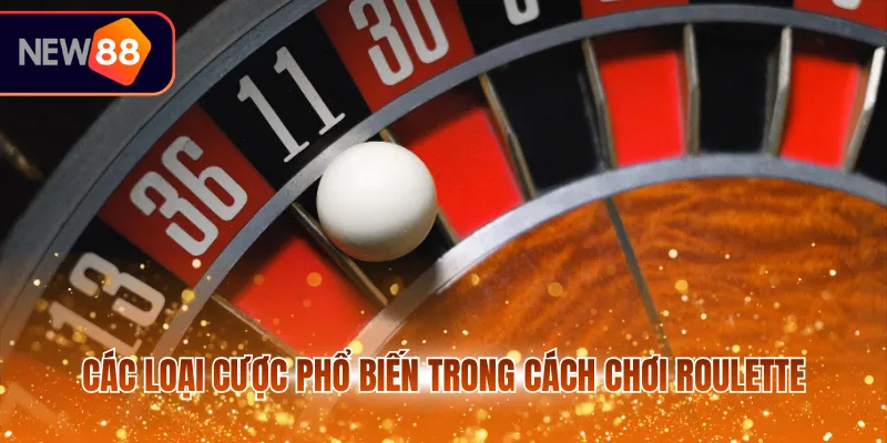 Các loại cược phổ biến trong cách chơi Roulette