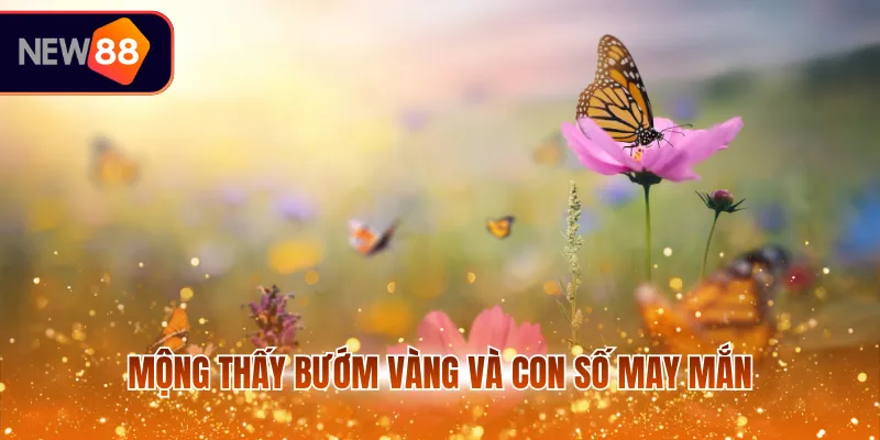 Mộng thấy bướm vàng và con số may mắn