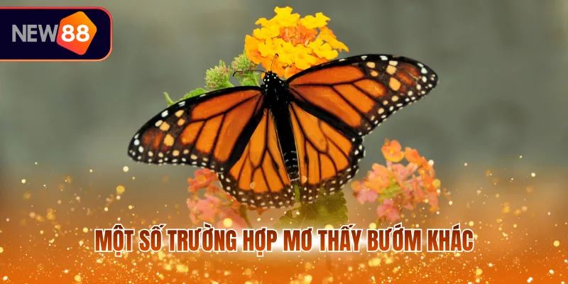 Một số trường hợp mơ thấy bướm khác